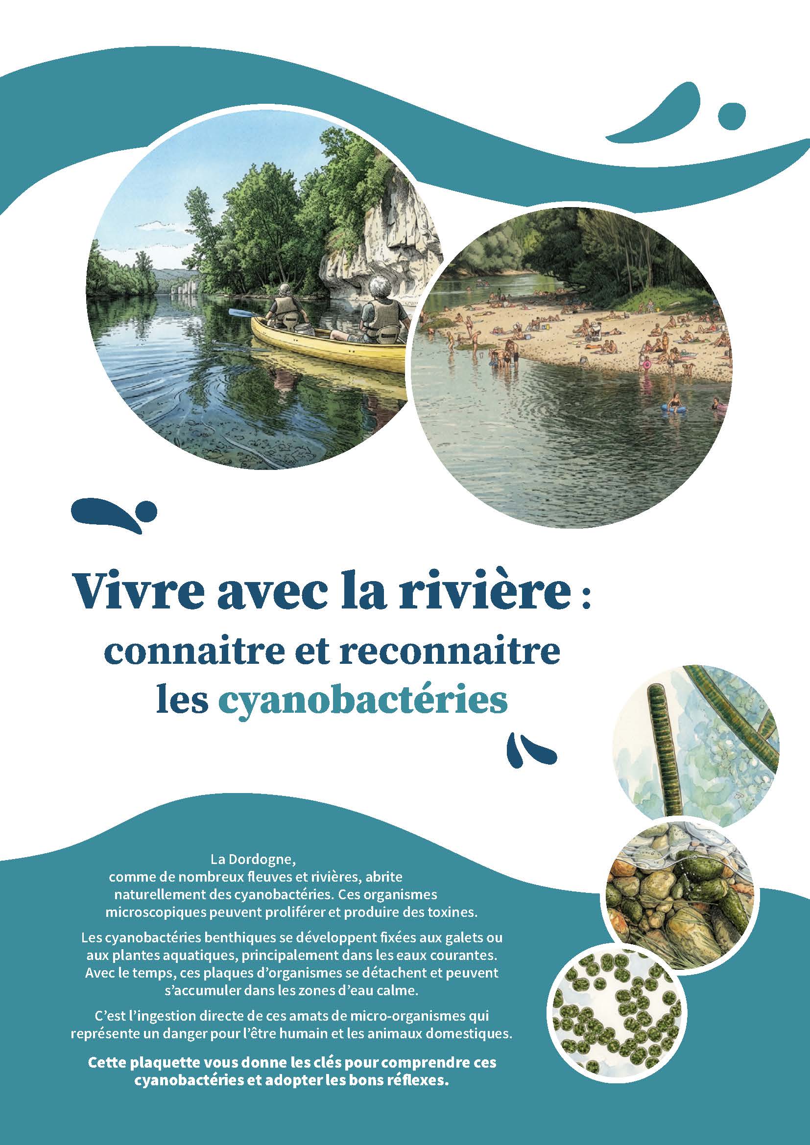 Plaquette_cyano_benthiques_Page_1